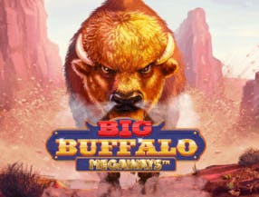 game logo by Skywind Group on mr-pachocasino.at