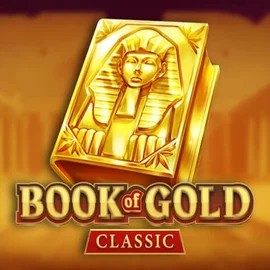 game logo by Playson on mr-pachocasino.at
