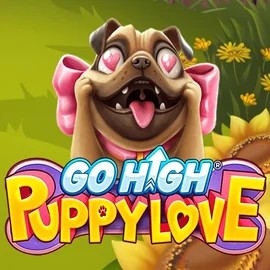 game logo by RubyPlay on mr-pachocasino.at